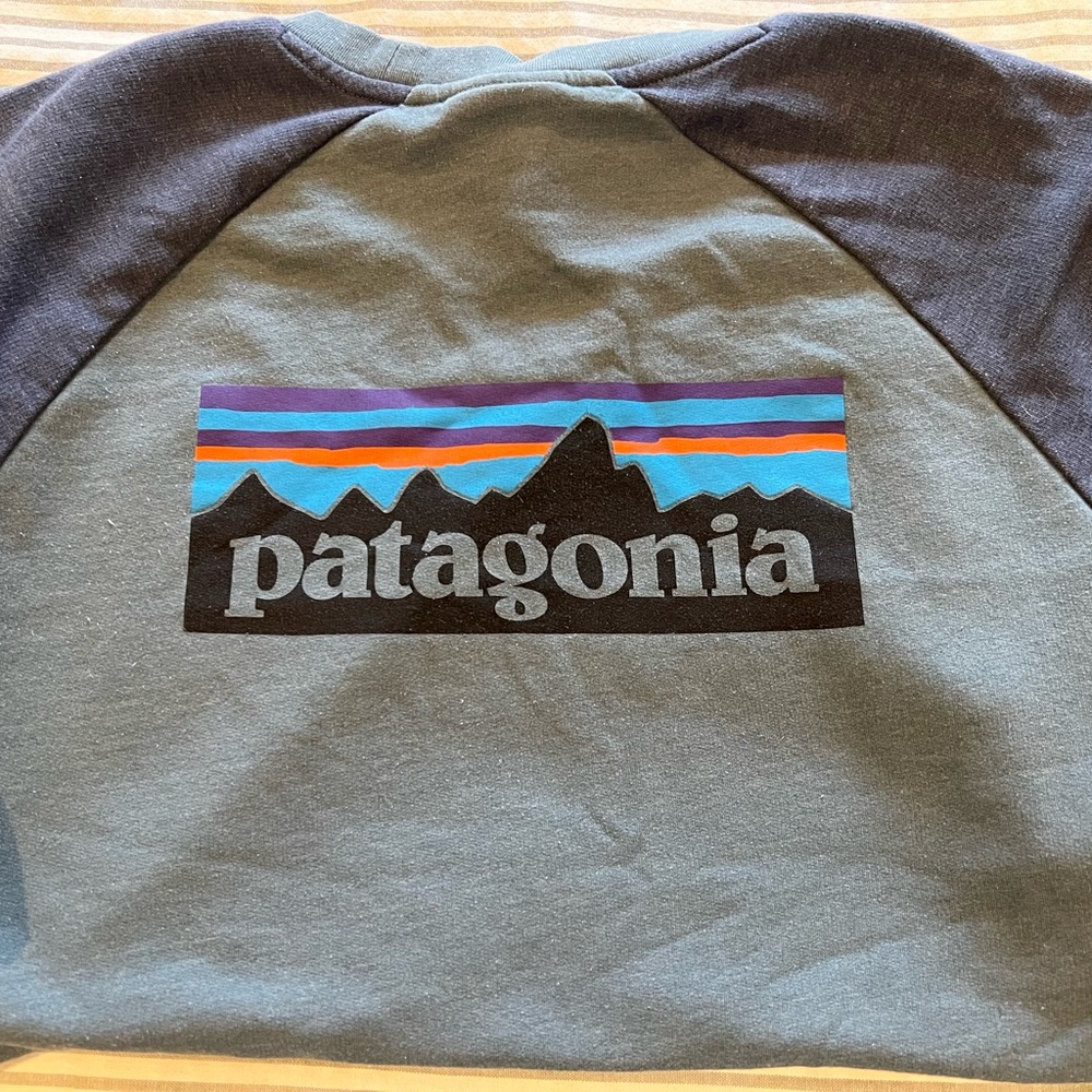 Patagonia sweatshirt